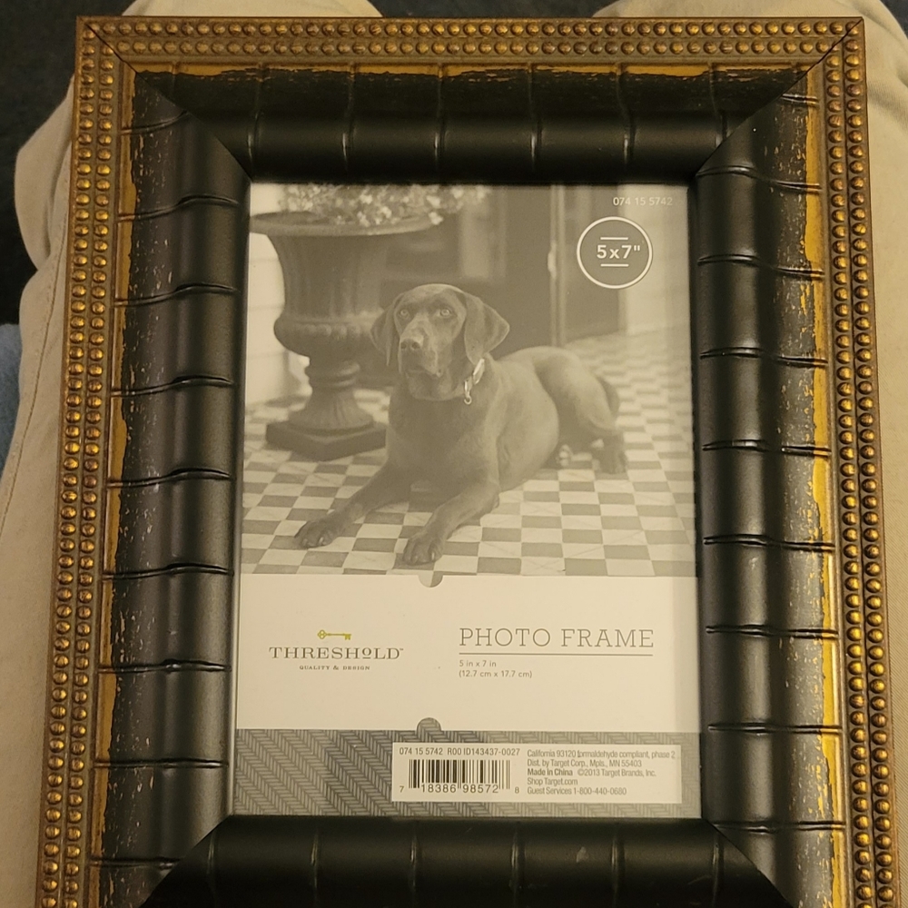 Brand New Threshold 5x7 Picture Frame